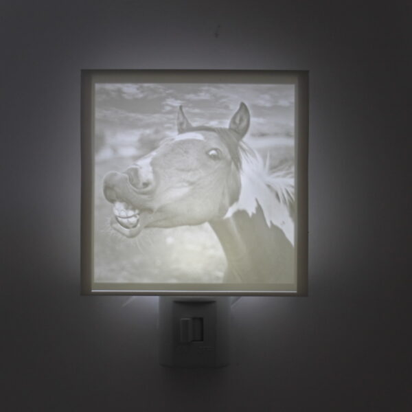 Horse Showing Teeth Photo Night Light Interior Decor with Removable Plate, Lithophane