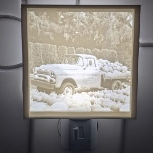 Lithophanes